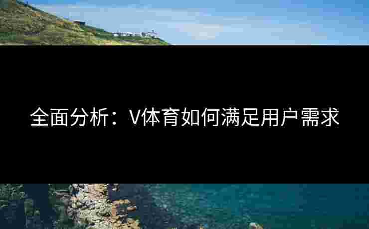 全面分析：V体育如何满足用户需求
