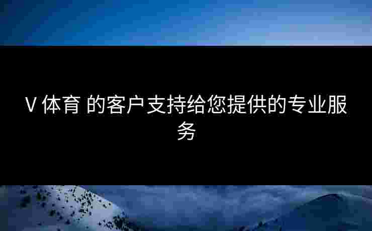V 体育 的客户支持给您提供的专业服务