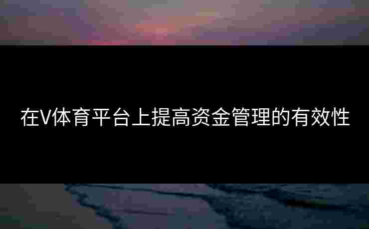 在V体育平台上提高资金管理的有效性