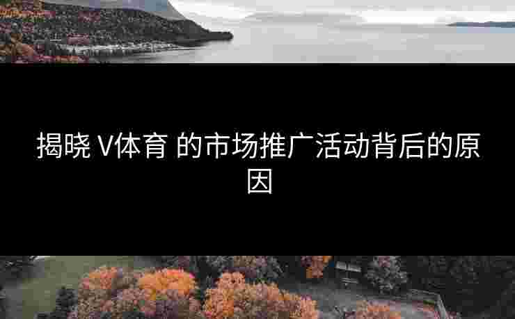 揭晓 V体育 的市场推广活动背后的原因