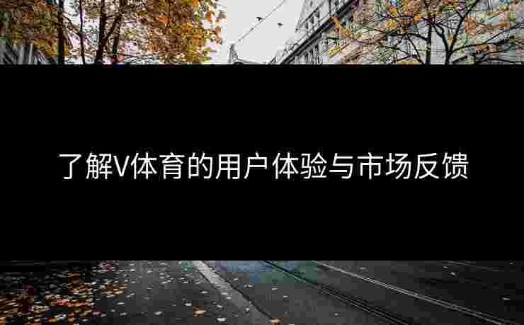 了解V体育的用户体验与市场反馈
